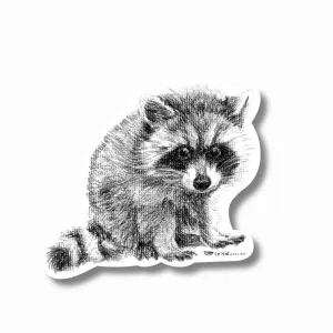 Adorable Raccoon Magnet