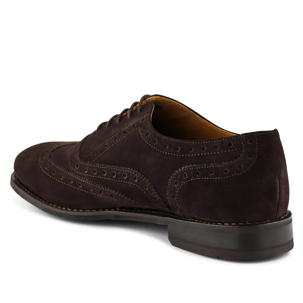 Braxton Leather Brogues  - BRAXTON / 326 034